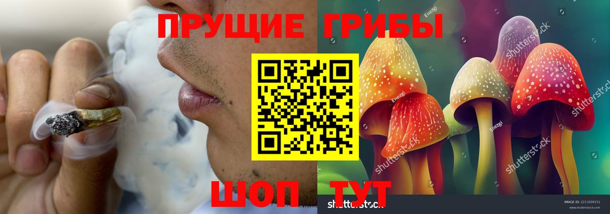 Галлюциногенные грибы прущие грибы Ярцево