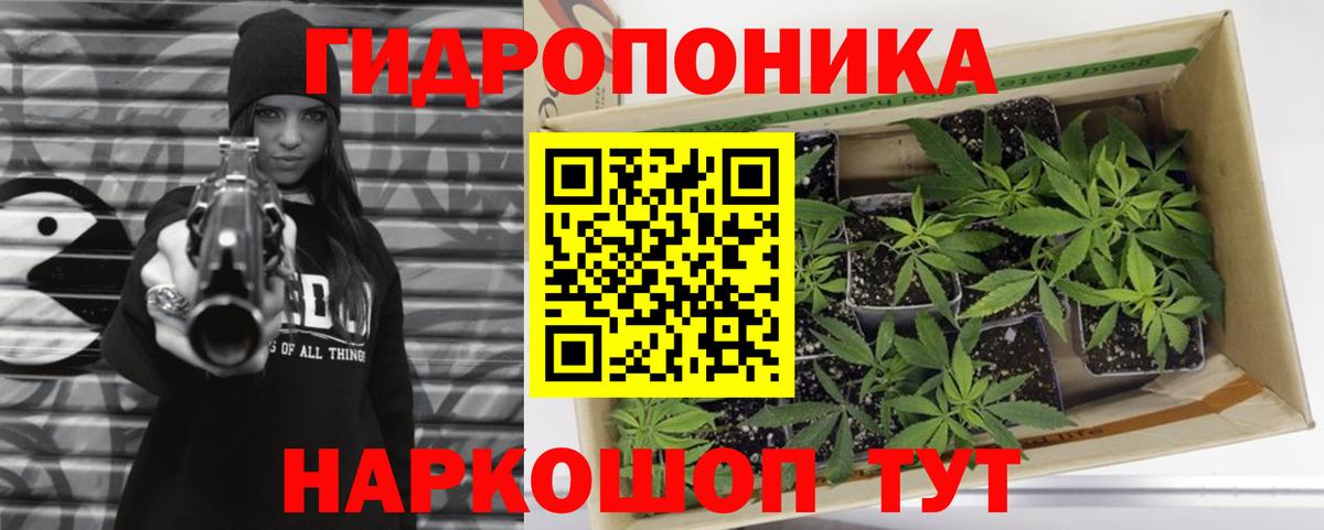 Канабис сатива  Марихуана планчик  Вход с VPN  Конопля LSD WEED  Ярцево 
